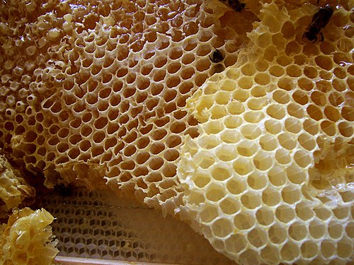 Beeswax Food Wraps