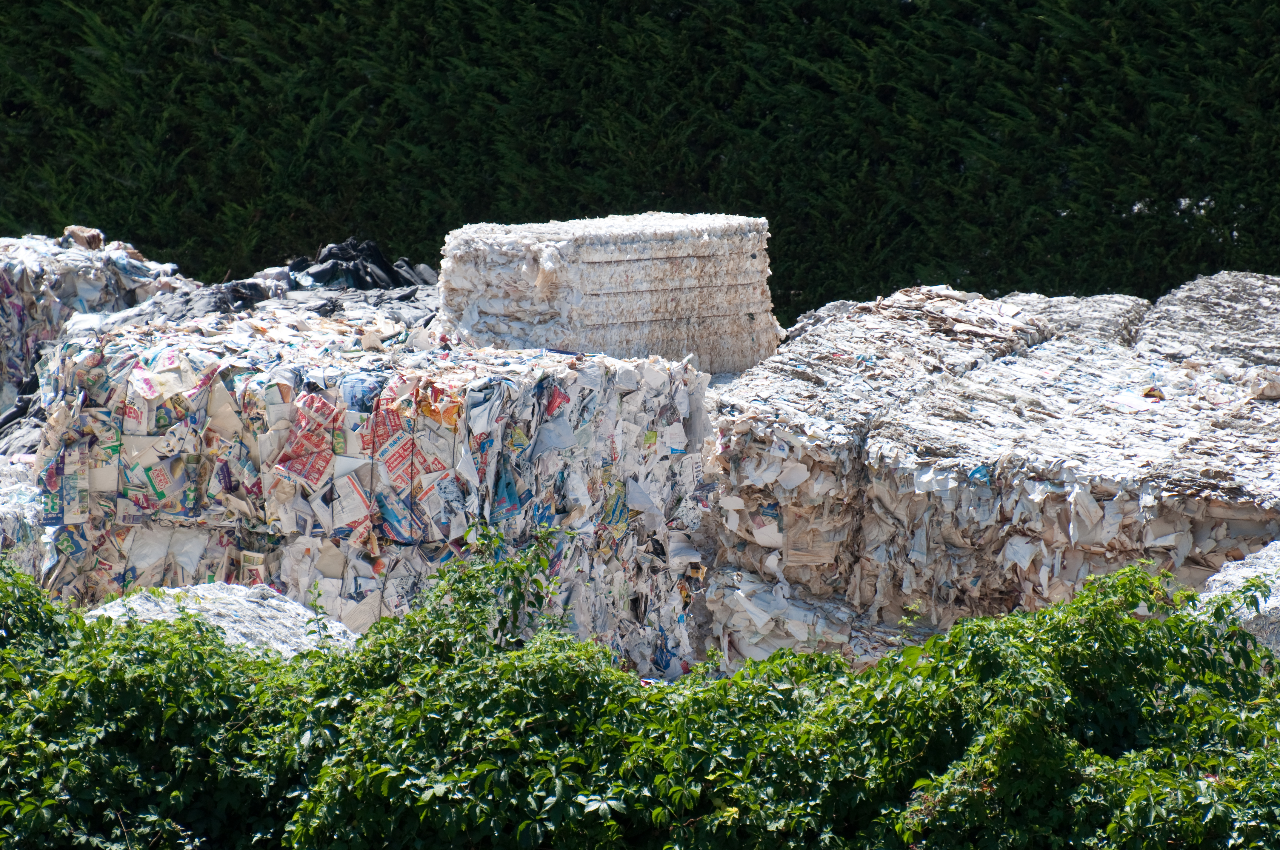 Recycled Paper Products