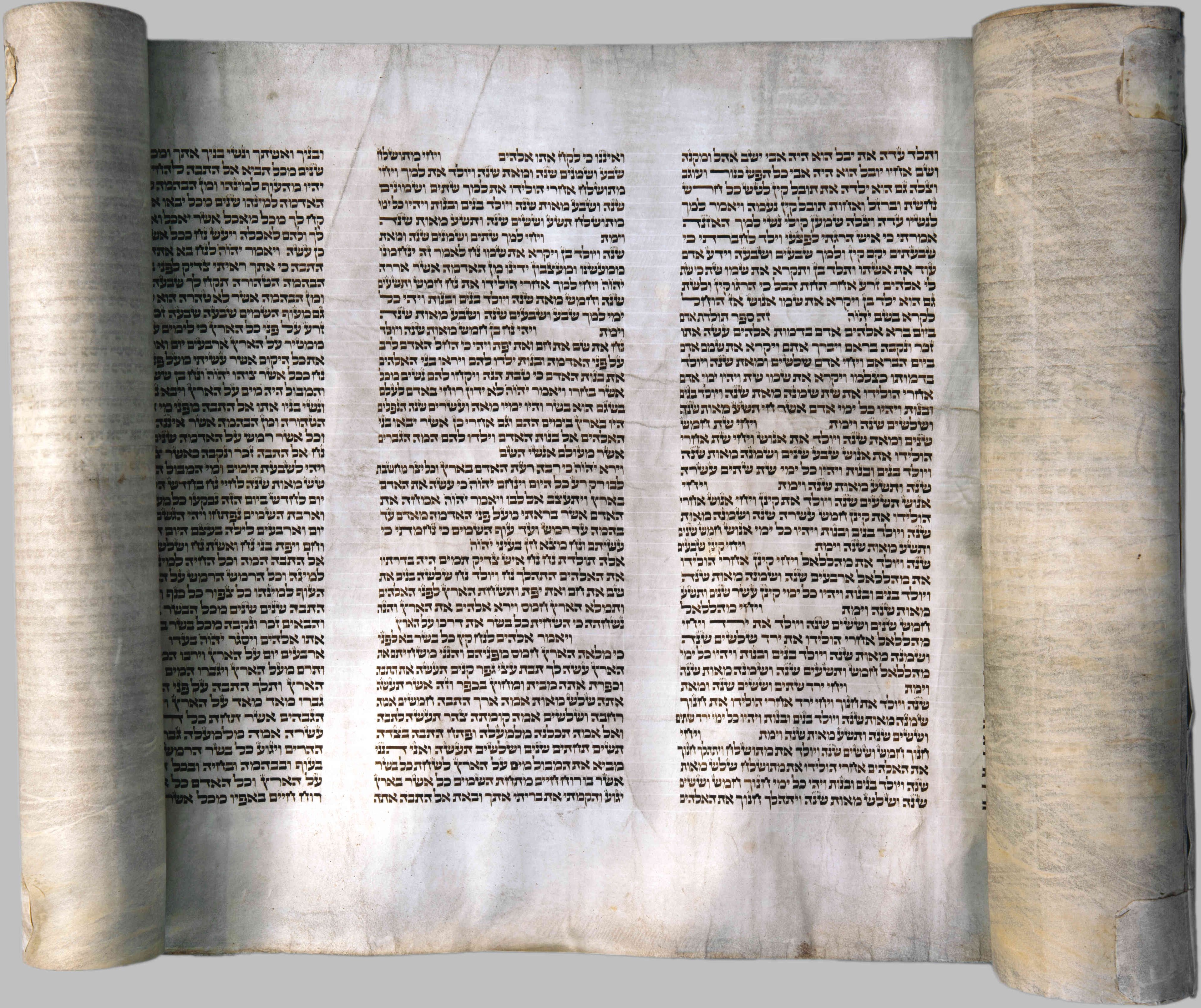 Torah Reading