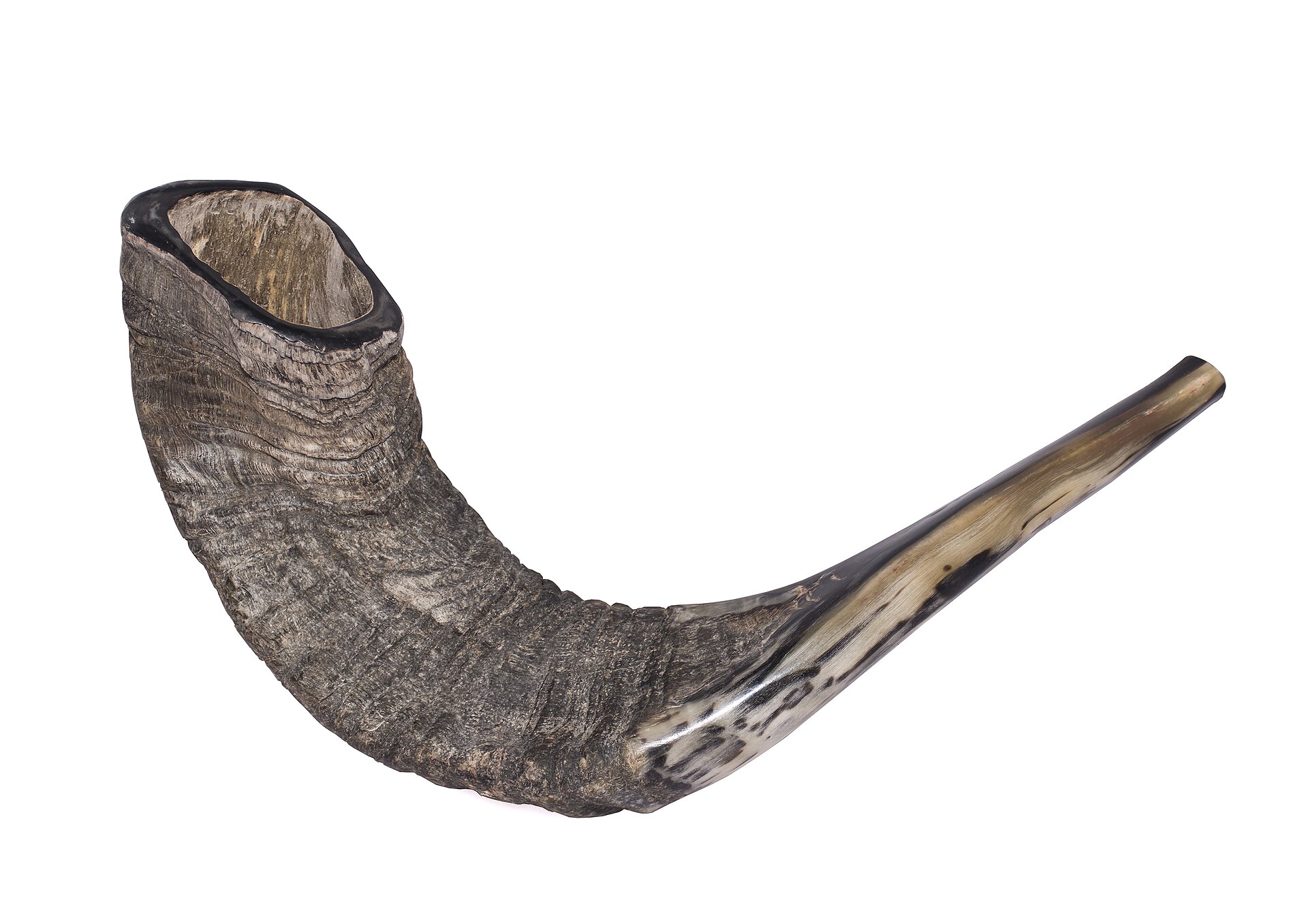 Blowing the Shofar