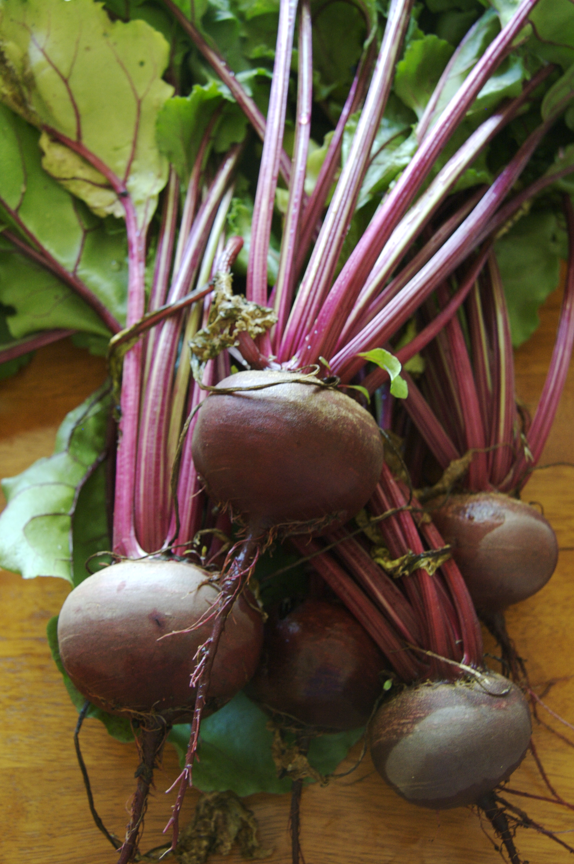 Beet Latkes