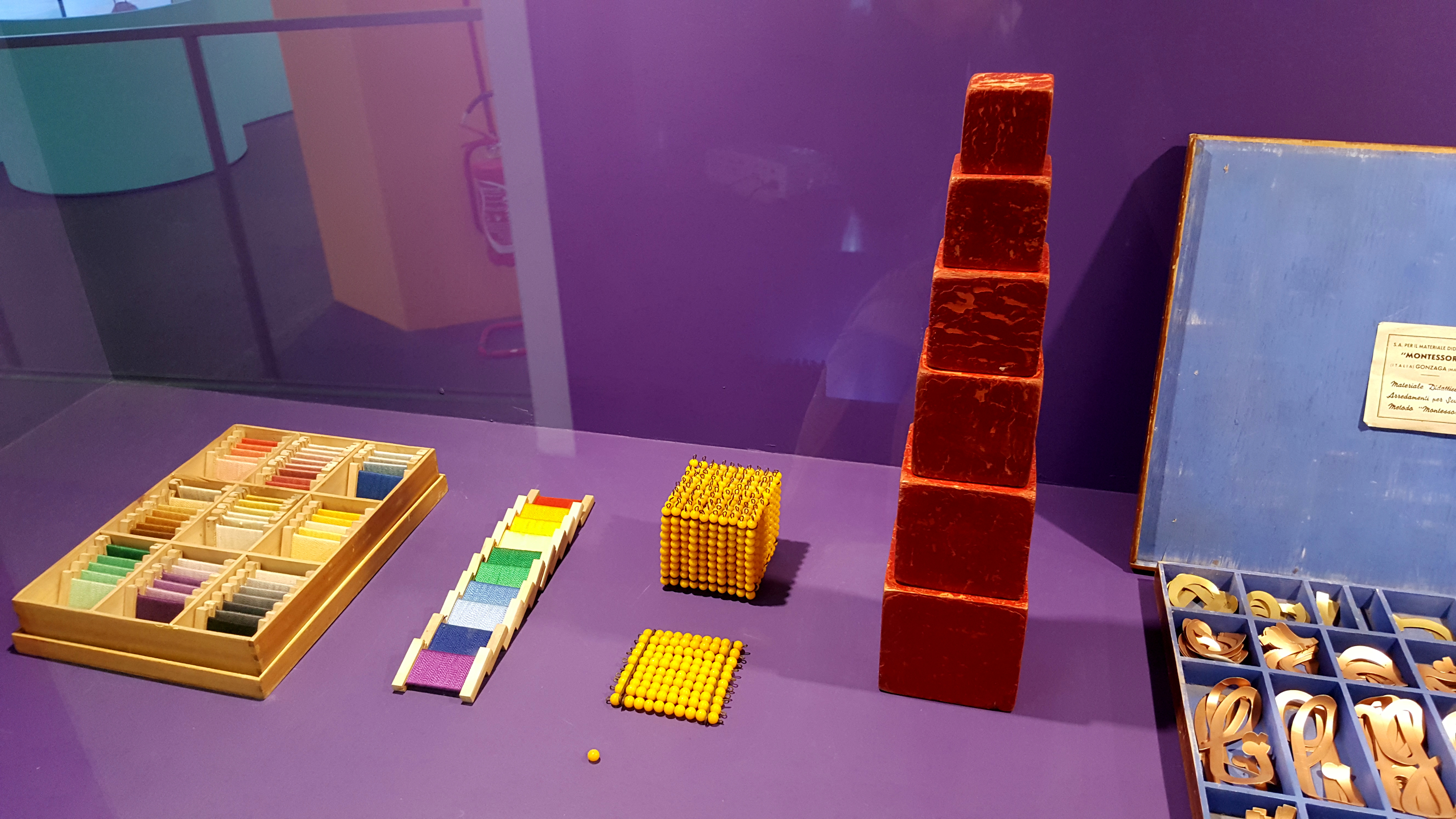 The Montessori Toddler