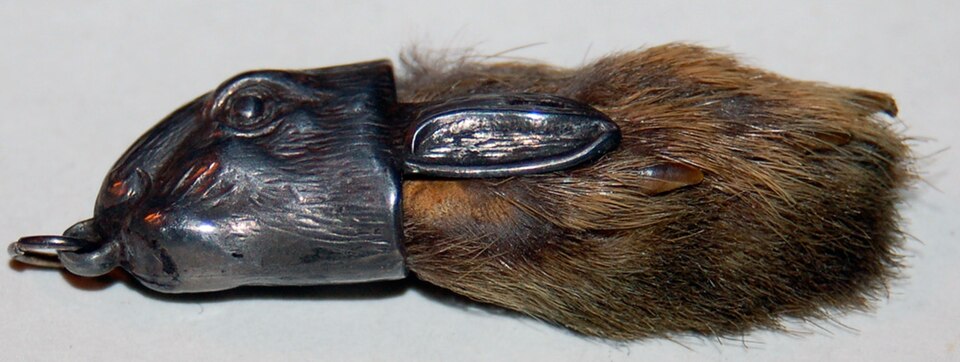 Rabbit's Foot