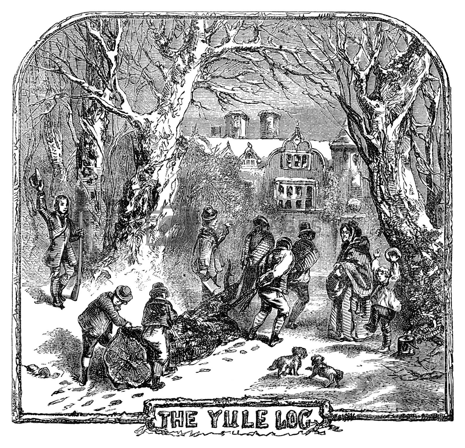 Yule Log