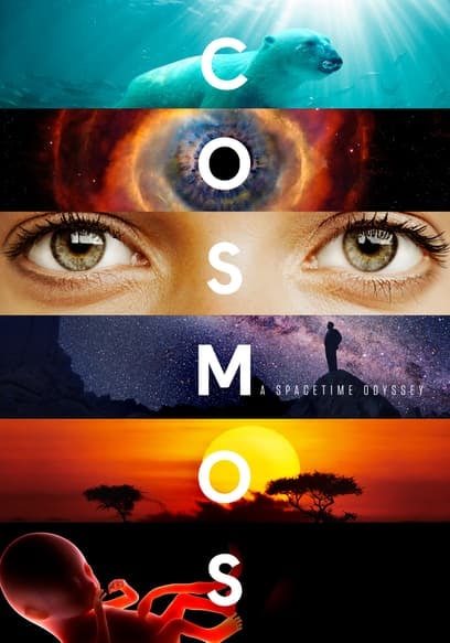 Cosmos: A Spacetime Odyssey