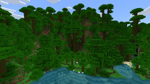 Jungle