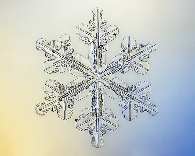 Snowflakes