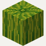 Melon field