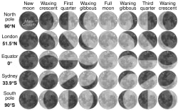 Moon phases