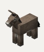 Donkey