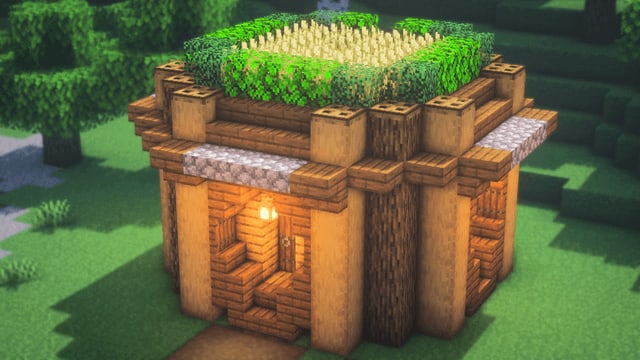 Build a first shelter