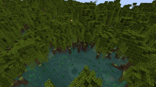 Mangrove swamp