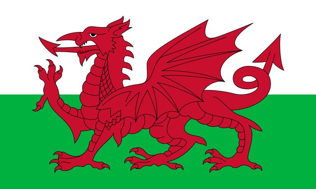 2011 Wales — World Cup semifinalists